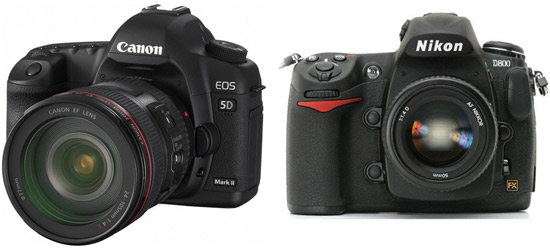Сравнение Canon 5D MkIII и Nikon D800