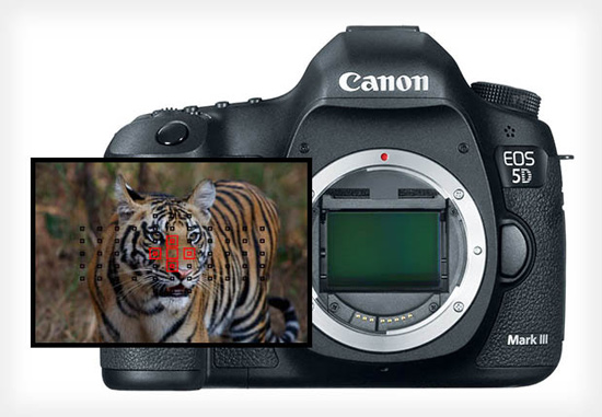 Canon EOS 5D Mark III не исправить прошивкой, как это сделали c Canon 1D X