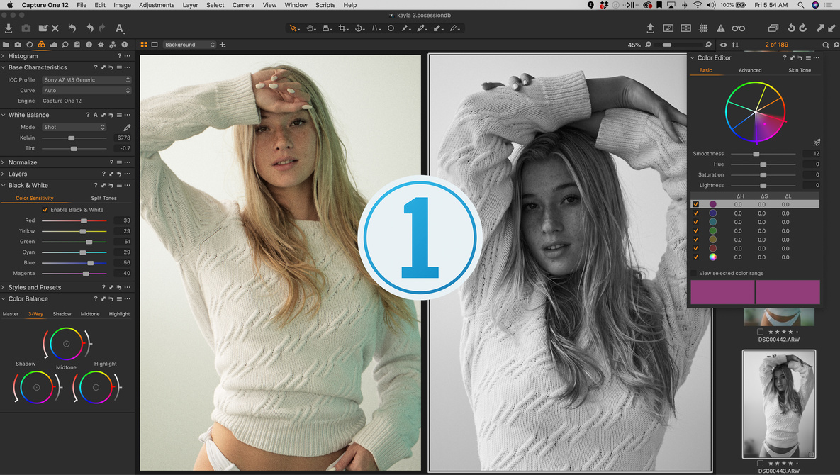 lightroom to capture one preset converter