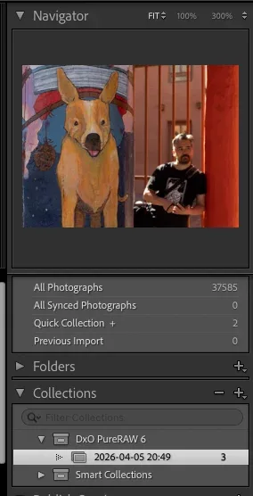Screenshot of Adobe Lightroom shows a photo featuring a colorful dog mural and a man sitting near red pillars. Lightroom’s interface displays photo collections and navigation tools on the left.