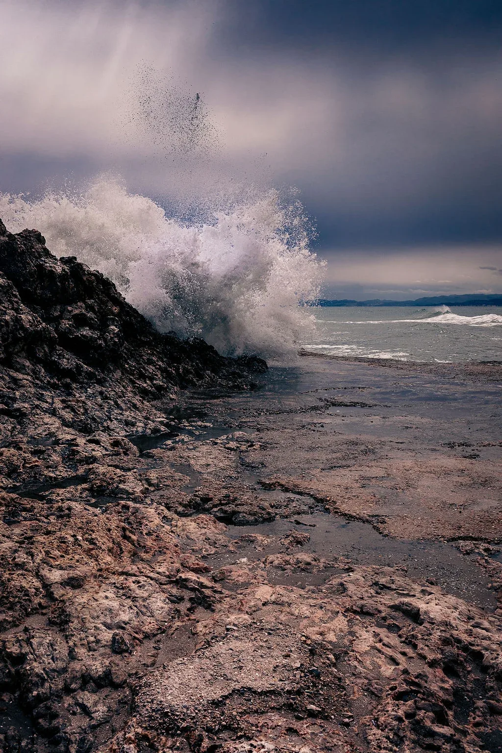 Fast Shutter Speeds for Stopping Action