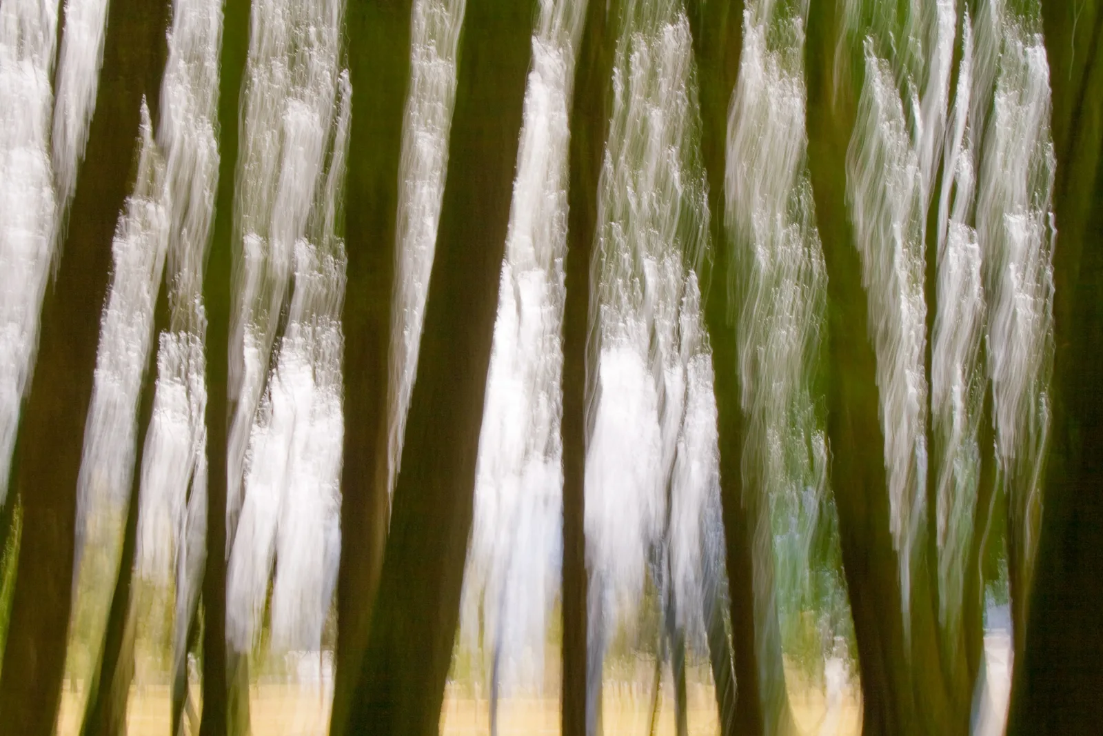 deliberate camera movement