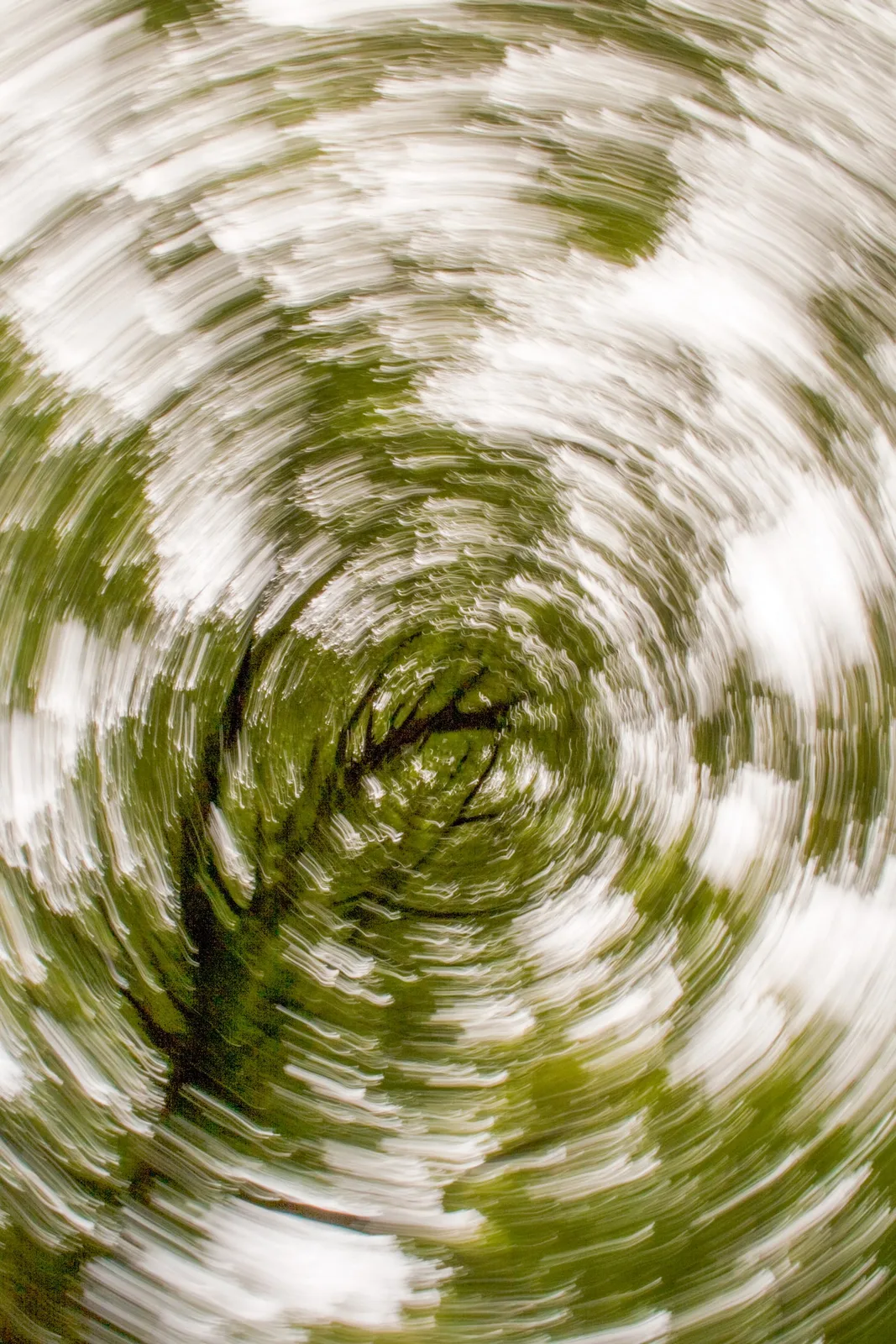 deliberate camera movement