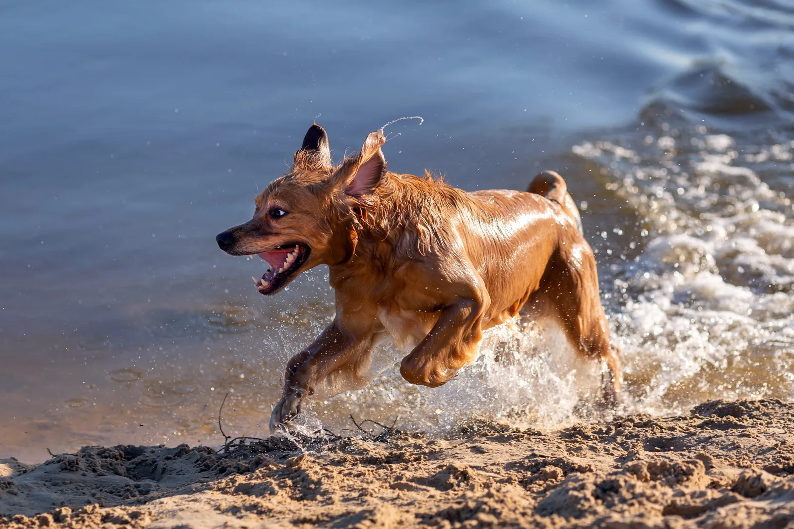 What is shutter speed in photography?