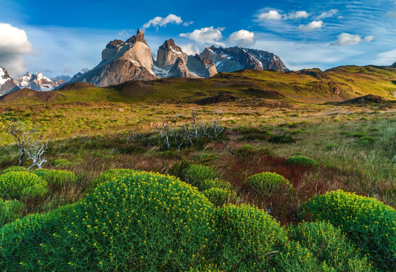 Epic beauty of the landscape - the National Park Torres del Paine in southern Chile.