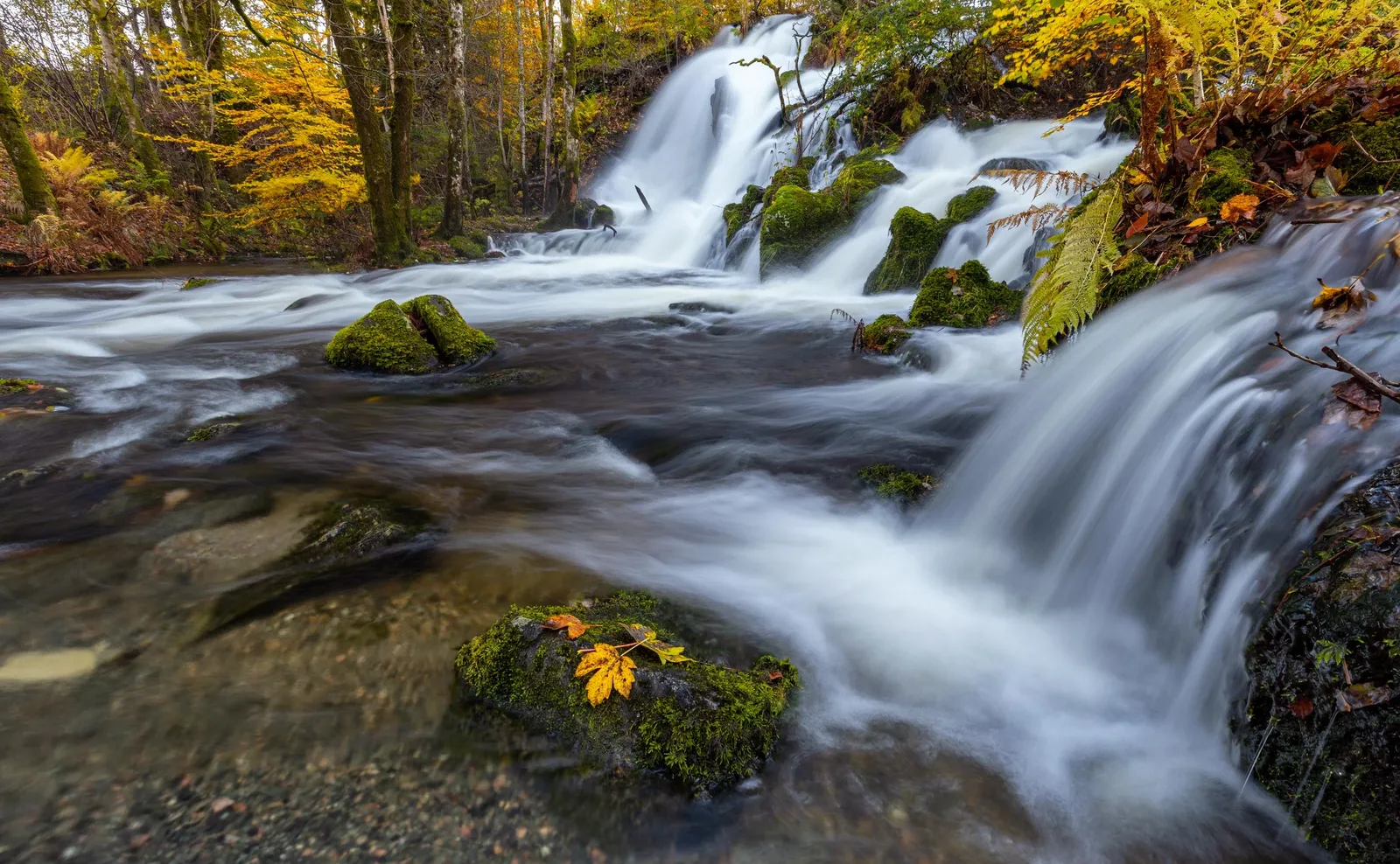 When Should You Use an ND Filter? Everything Photographers Need to Know