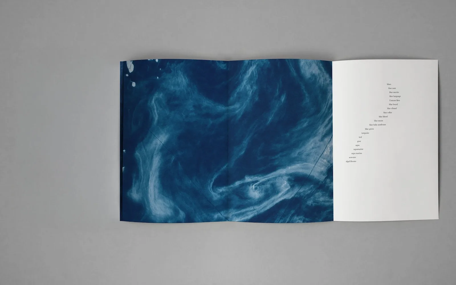 Spread from the book “viridescent, afire” © Małgorzata Stankiewicz