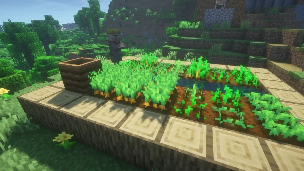 get carrot in Minecraft