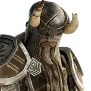 Нордский воитель (Nord Warrior)