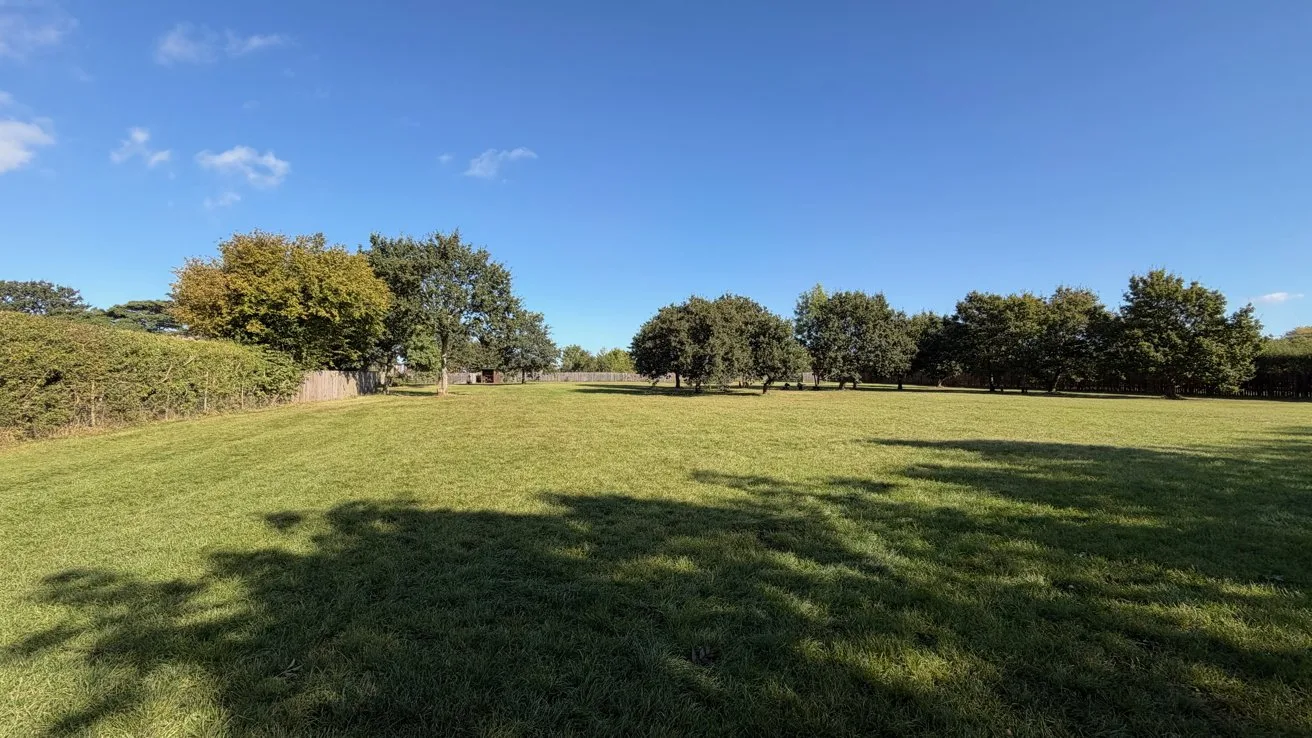 Wide grassy field under clear blue sky, bordered by trees and hedges, with long tree shadows stretching across the sunlit lawn, creating a calm, open park-like scene