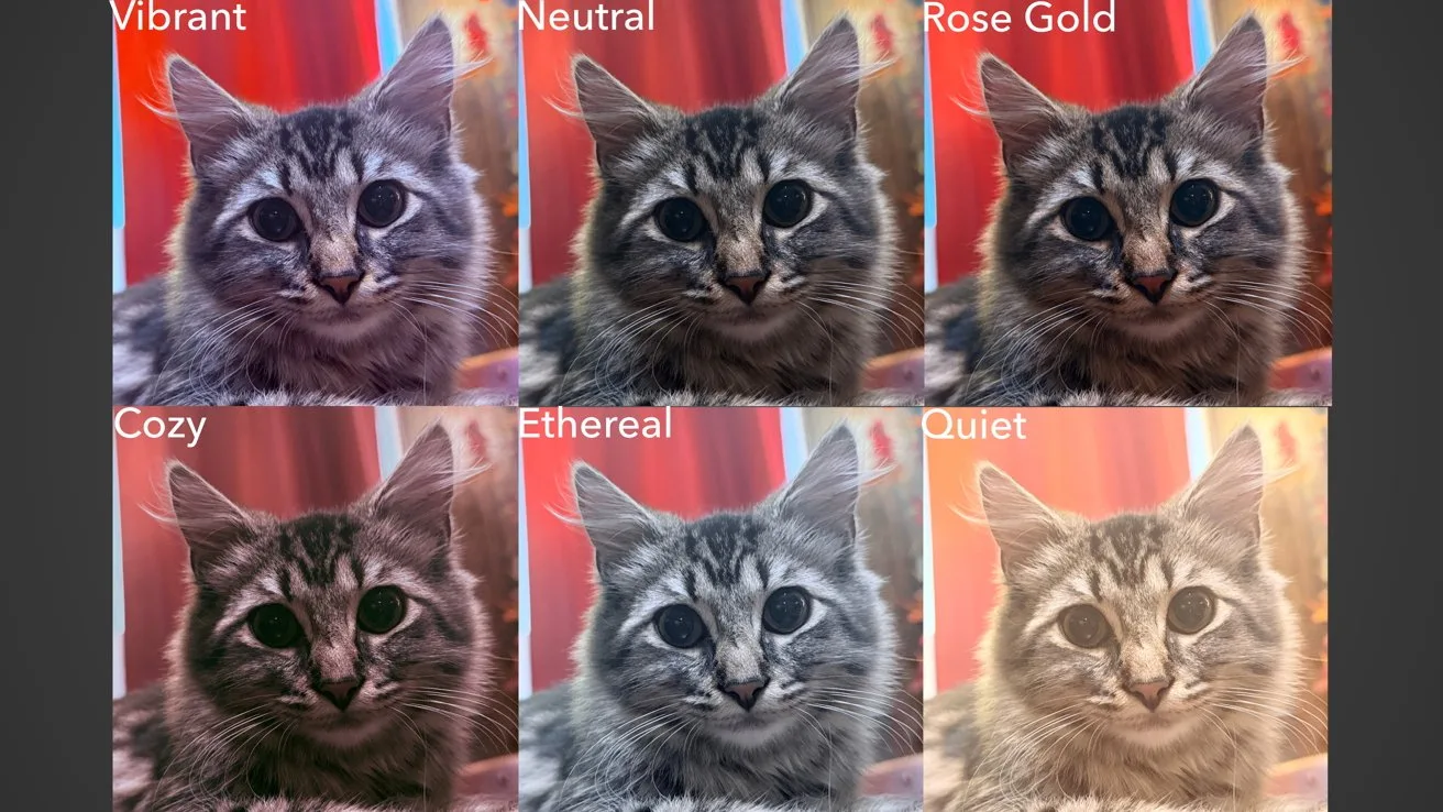 Six photos of the same tabby cat, each tinted with different color filters labeled Vibrant, Neutral, Rose Gold, Cozy, Ethereal, and Quiet, showing how filters change mood and lighting