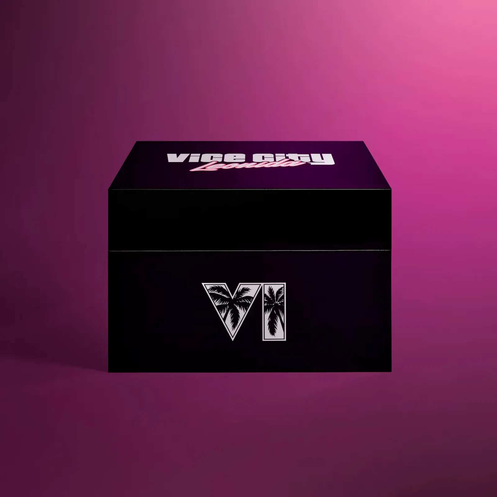 GTA 6 Collector's Edition black box.