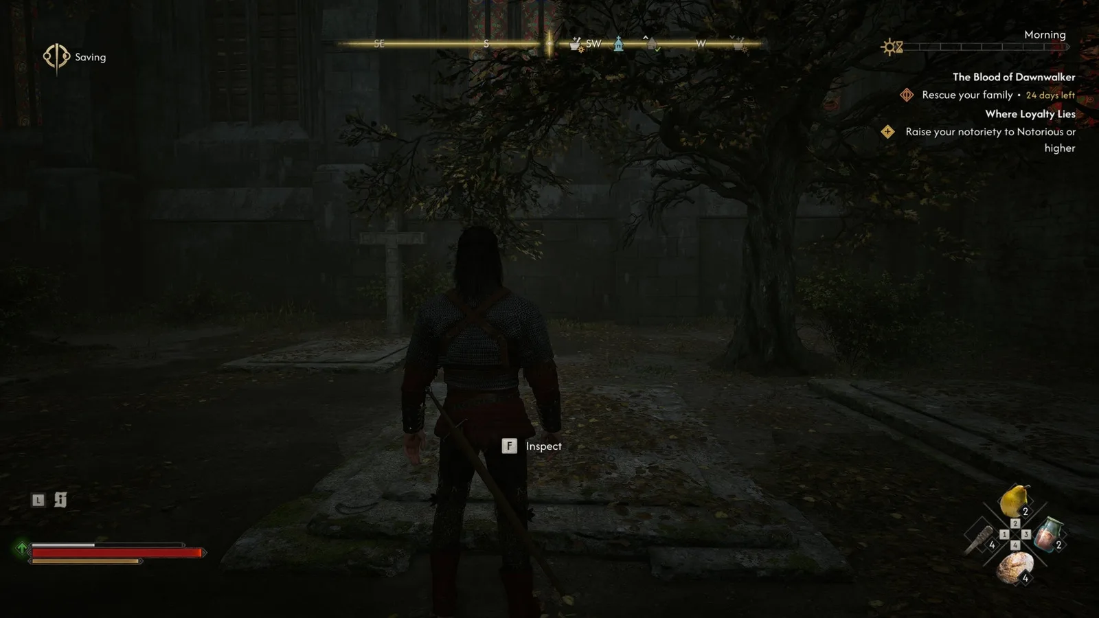 Coen stands at Saint Mihai's crypt in the courtyard of the cathedral in Svartrau City in The Blood of Dawnwalker