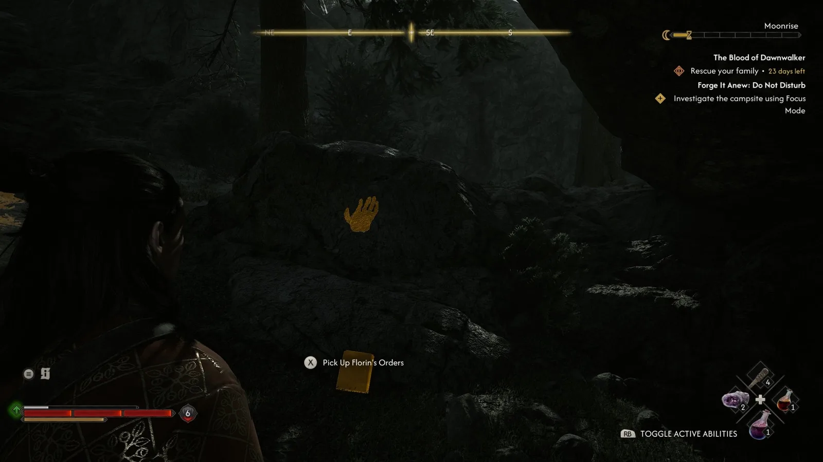 Picking up Florin's Orders in The Blood of Dawnwalker