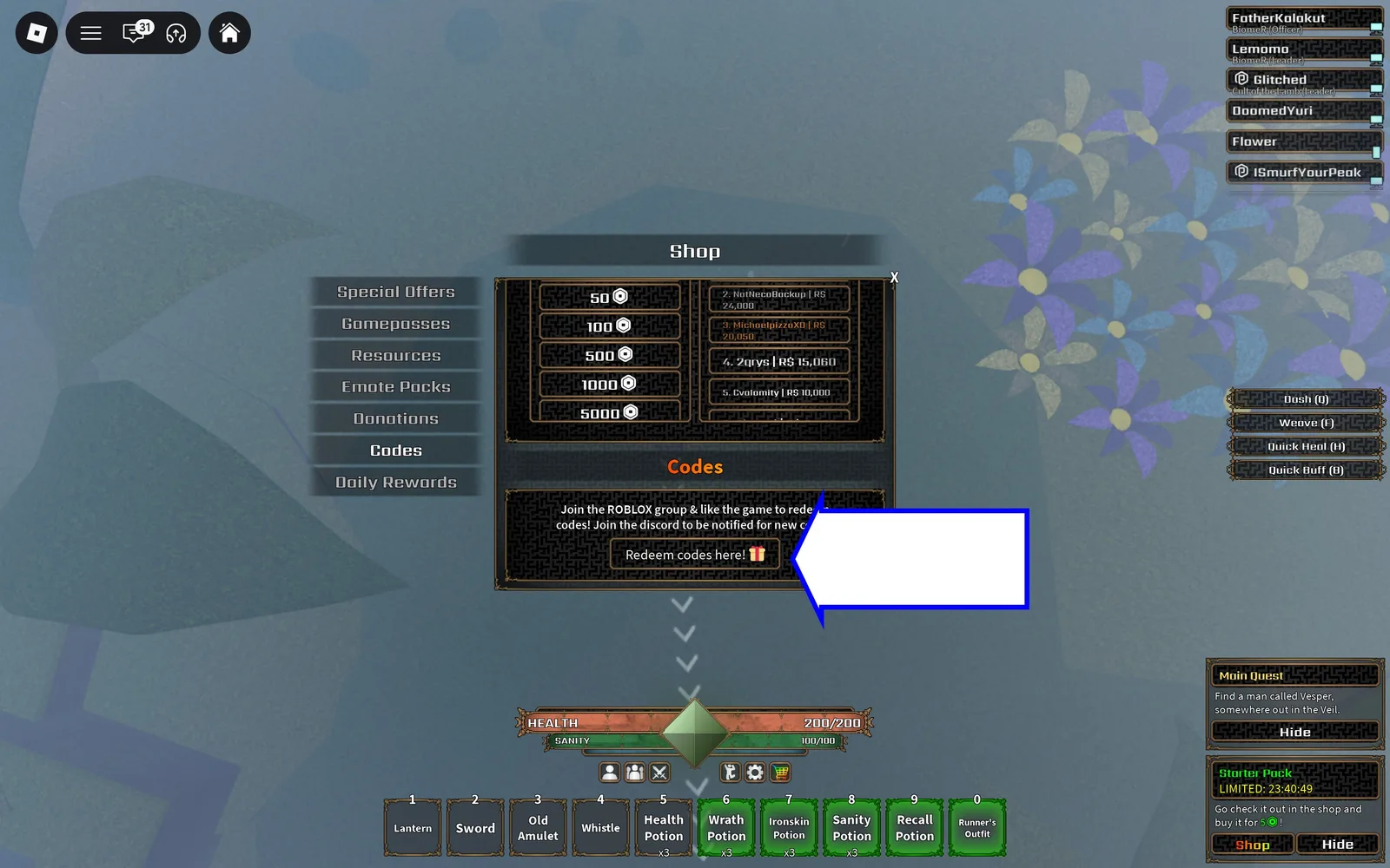 A screenshot of The Veil in Roblox showing the game's codes field.