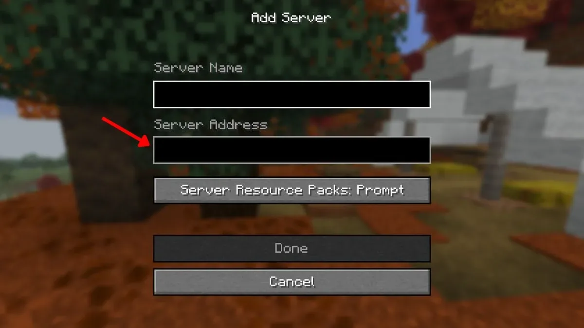 add server address in minecraft java