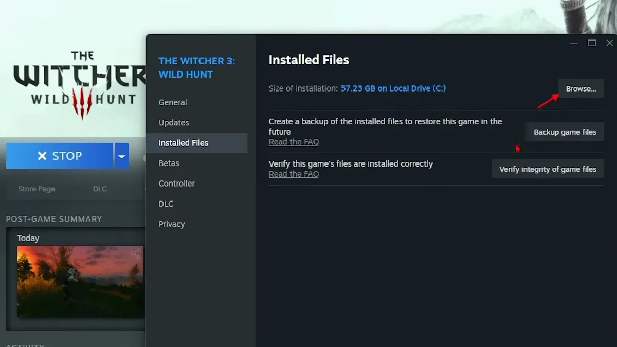 The Witcher 3 browse game files
