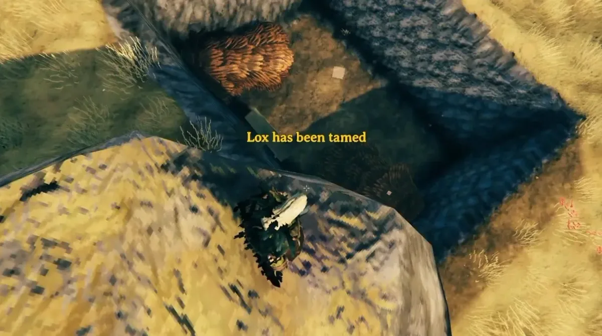 Tame Lox in Valheim