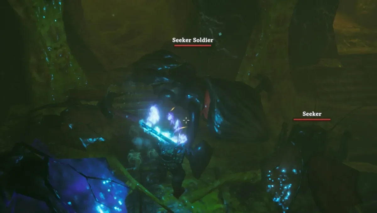 Seeker Soldier Valheim
