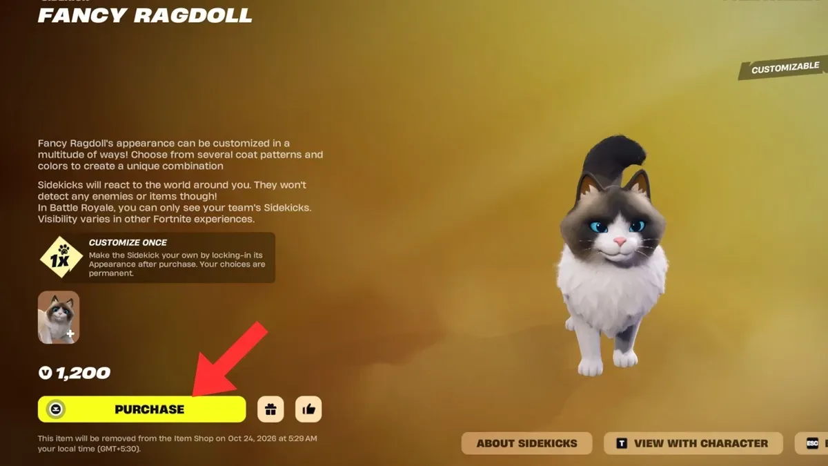 Fancy Ragdoll in Fortnite Item Shop