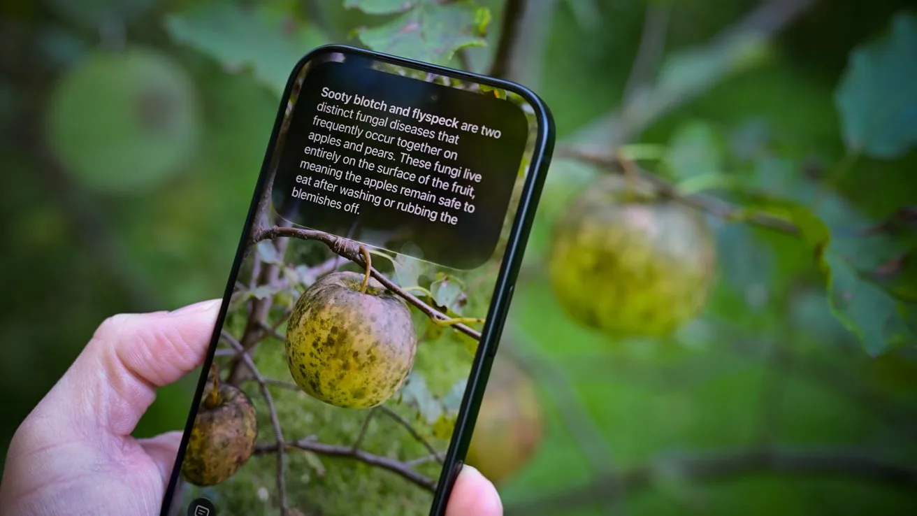 Hand holding a smartphone close to a tree branch, with the screen magnifying and describing a spotted green apple hanging among leaves in an outdoor setting