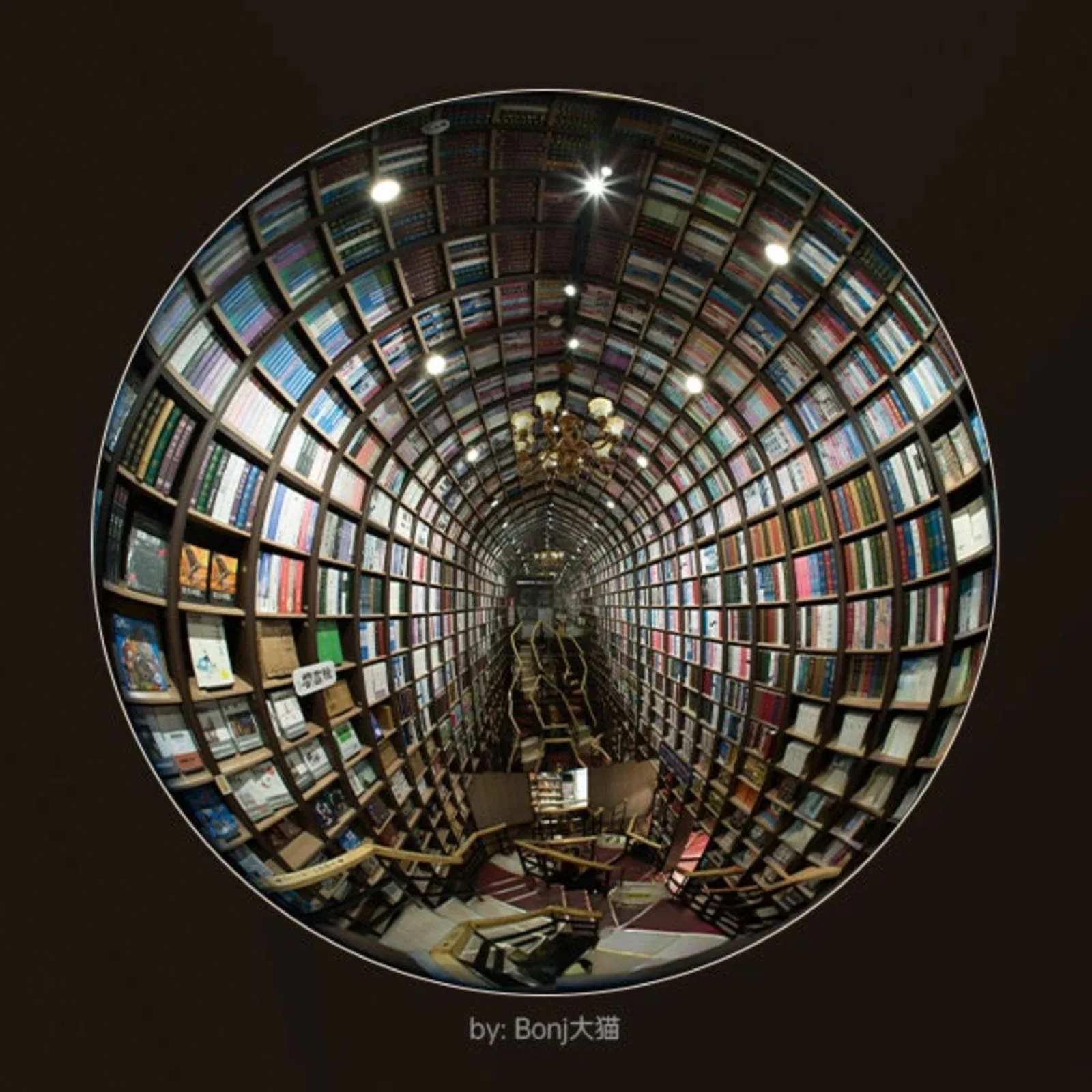A fisheye-lens view of a tall, narrow bookstore with floor-to-ceiling shelves filled with books lining curved walls.